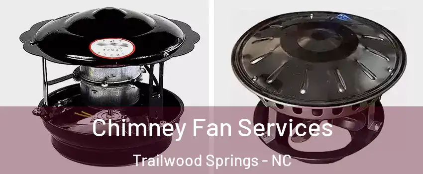 Chimney Fan Services Trailwood Springs - NC