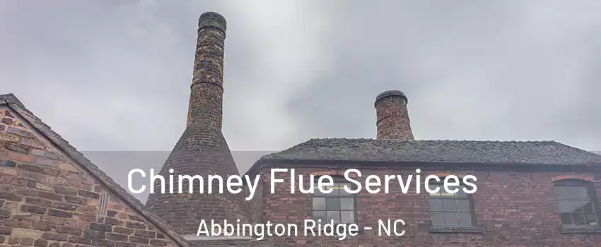 Chimney Flue Services Abbington Ridge - NC
