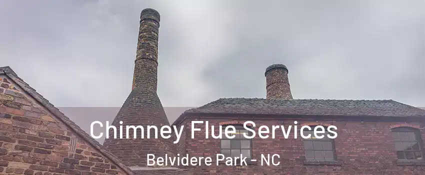 Chimney Flue Services Belvidere Park - NC