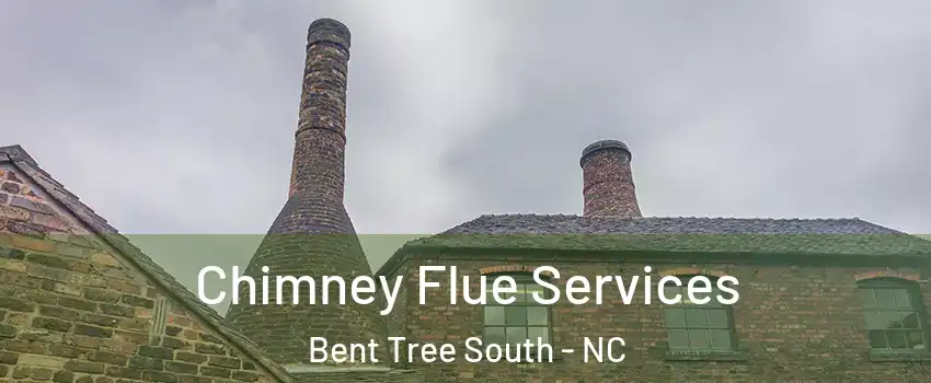 Chimney Flue Services Bent Tree South - NC