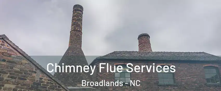 Chimney Flue Services Broadlands - NC