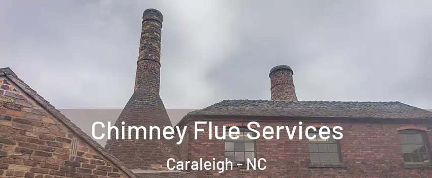 Chimney Flue Services Caraleigh - NC