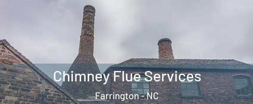 Chimney Flue Services Farrington - NC