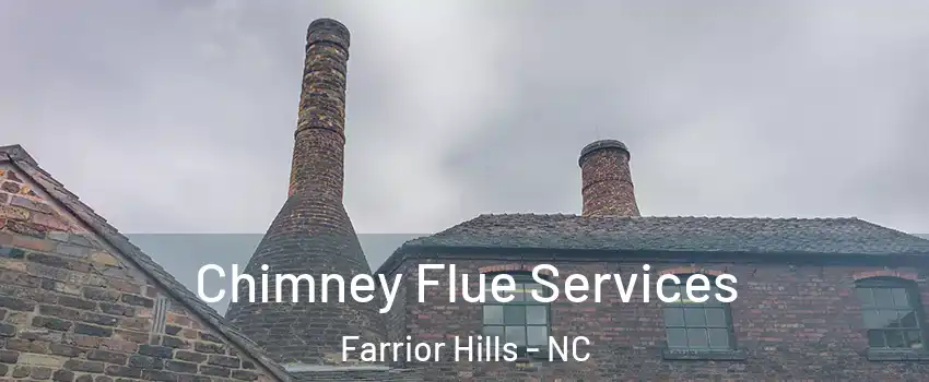 Chimney Flue Services Farrior Hills - NC