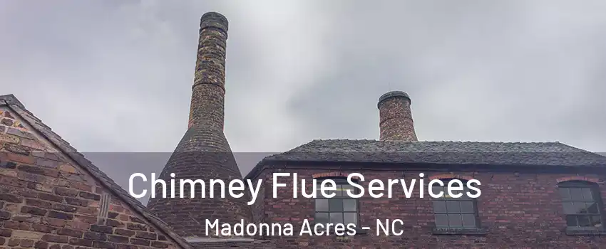 Chimney Flue Services Madonna Acres - NC