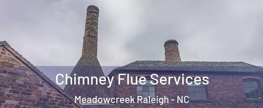 Chimney Flue Services Meadowcreek Raleigh - NC