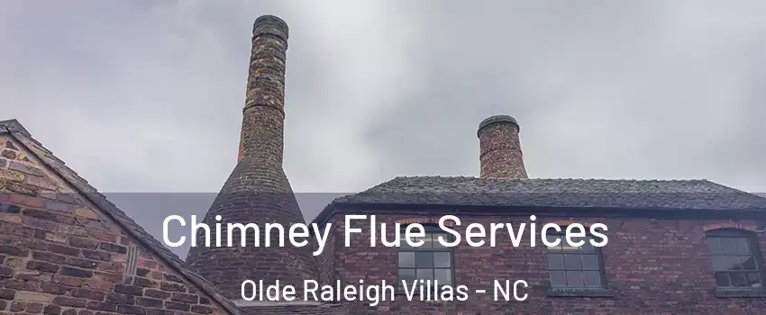 Chimney Flue Services Olde Raleigh Villas - NC
