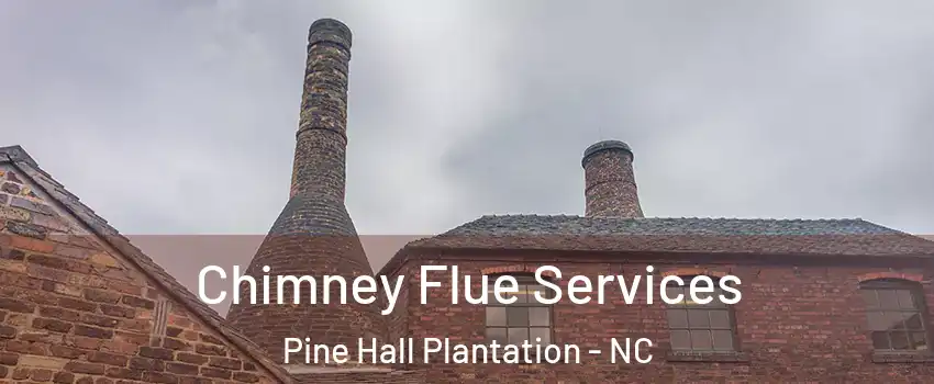 Chimney Flue Services Pine Hall Plantation - NC