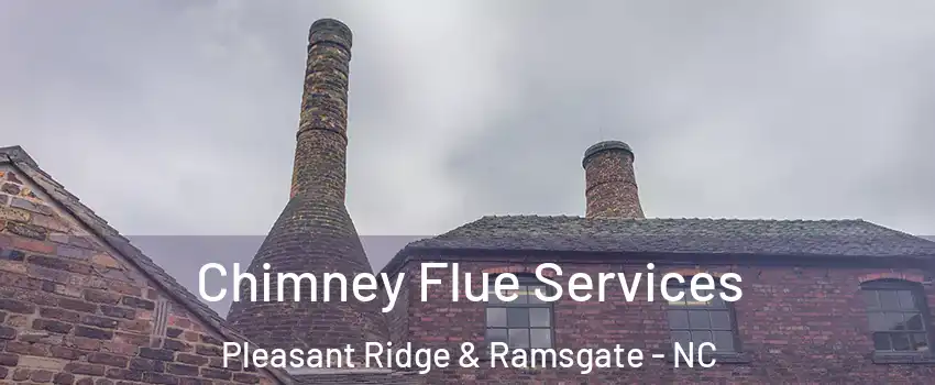 Chimney Flue Services Pleasant Ridge & Ramsgate - NC