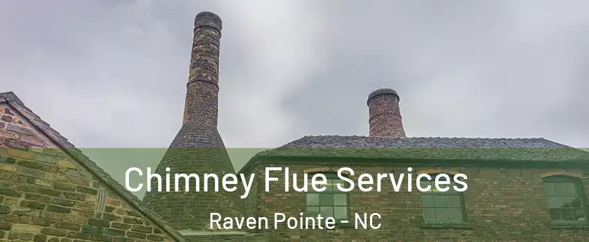 Chimney Flue Services Raven Pointe - NC