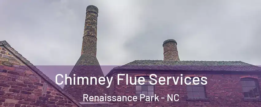 Chimney Flue Services Renaissance Park - NC