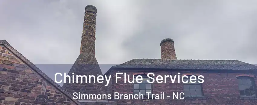 Chimney Flue Services Simmons Branch Trail - NC