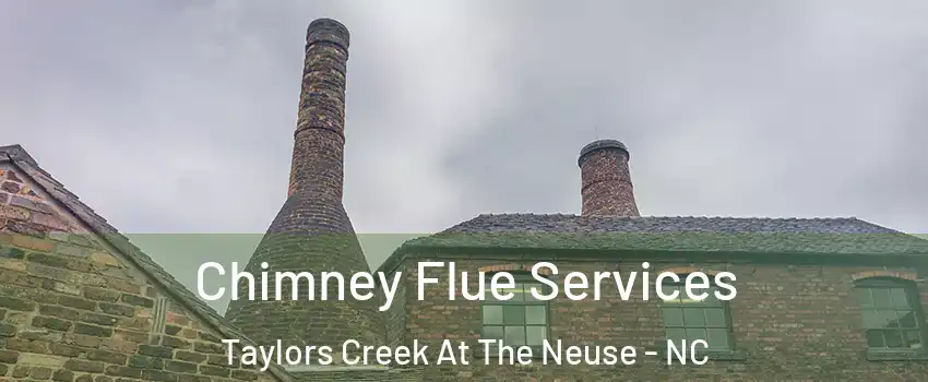 Chimney Flue Services Taylors Creek At The Neuse - NC