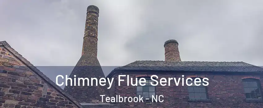 Chimney Flue Services Tealbrook - NC