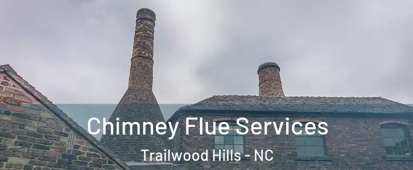 Chimney Flue Services Trailwood Hills - NC