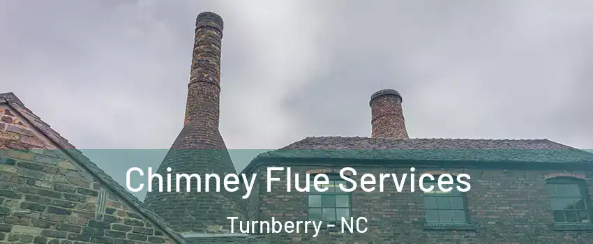 Chimney Flue Services Turnberry - NC