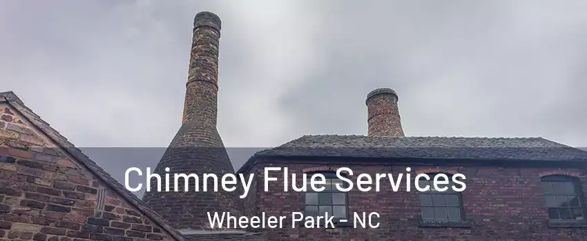 Chimney Flue Services Wheeler Park - NC