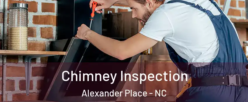 Chimney Inspection Alexander Place - NC