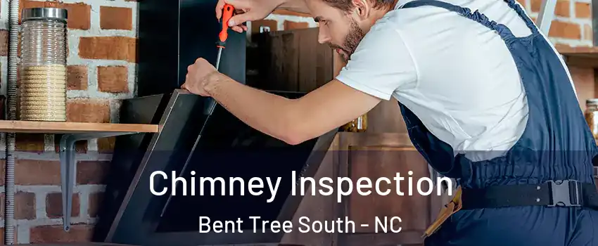 Chimney Inspection Bent Tree South - NC