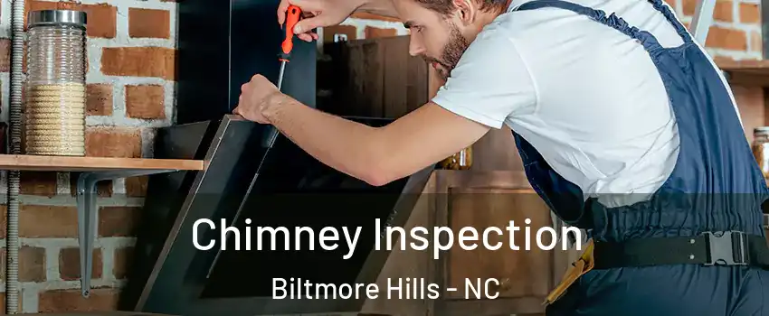 Chimney Inspection Biltmore Hills - NC