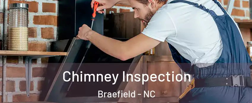 Chimney Inspection Braefield - NC