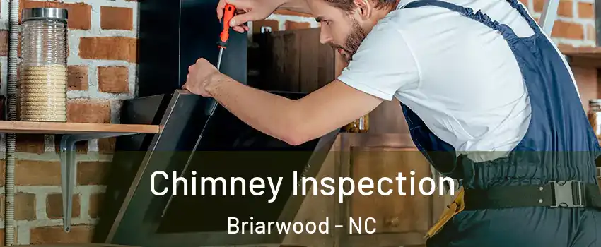 Chimney Inspection Briarwood - NC
