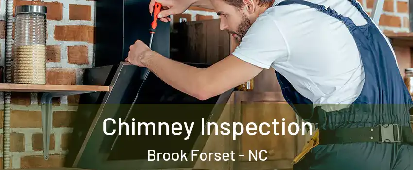 Chimney Inspection Brook Forset - NC