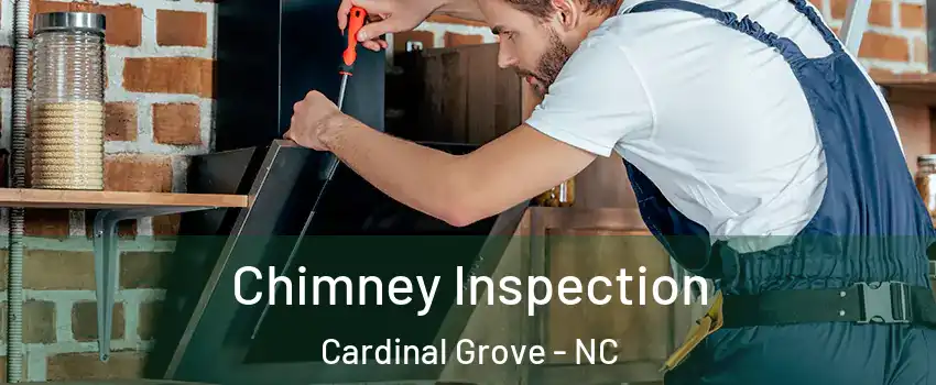 Chimney Inspection Cardinal Grove - NC