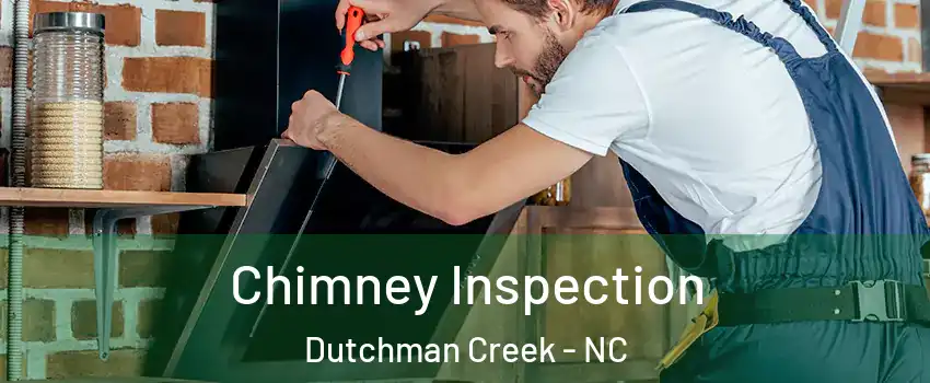 Chimney Inspection Dutchman Creek - NC