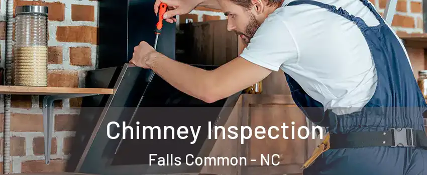 Chimney Inspection Falls Common - NC