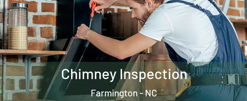 Chimney Inspection Farmington - NC