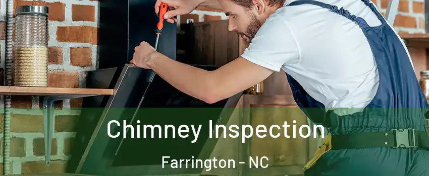 Chimney Inspection Farrington - NC