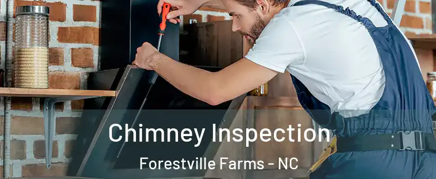 Chimney Inspection Forestville Farms - NC