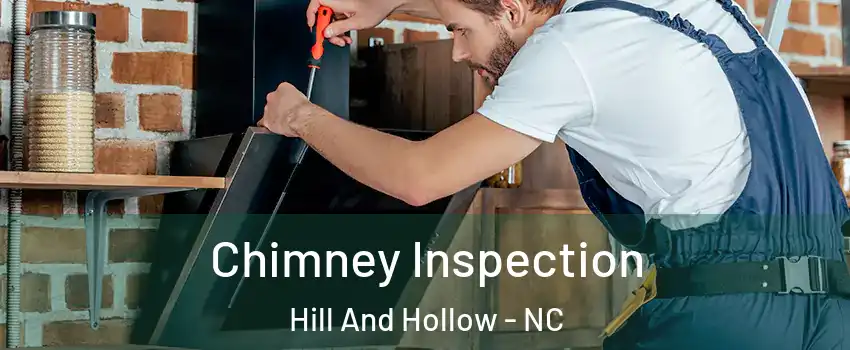 Chimney Inspection Hill And Hollow - NC