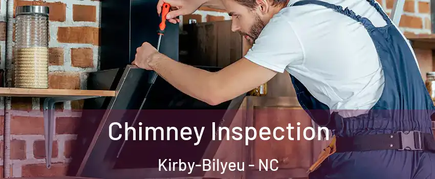 Chimney Inspection Kirby-Bilyeu - NC