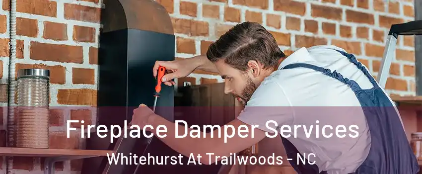 Fireplace Damper Services Whitehurst At Trailwoods - NC