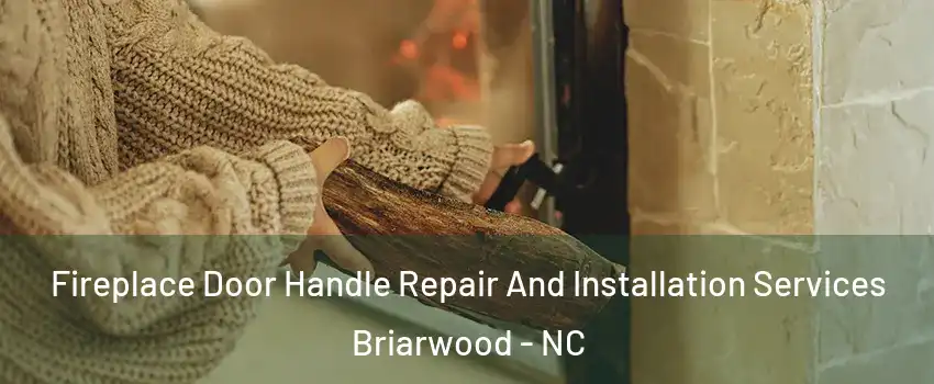 Fireplace Door Handle Repair And Installation Services Briarwood - NC