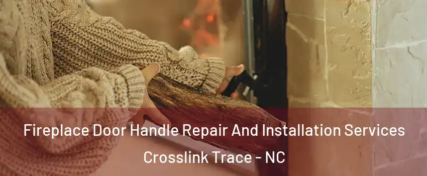Fireplace Door Handle Repair And Installation Services Crosslink Trace - NC