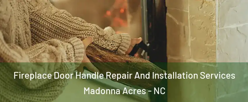 Fireplace Door Handle Repair And Installation Services Madonna Acres - NC