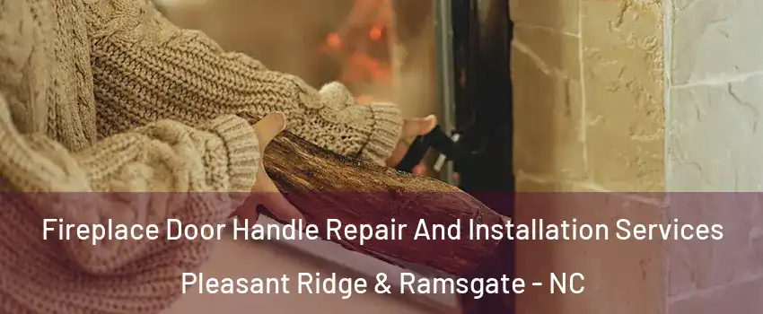 Fireplace Door Handle Repair And Installation Services Pleasant Ridge & Ramsgate - NC