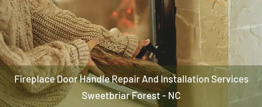 Fireplace Door Handle Repair And Installation Services Sweetbriar Forest - NC