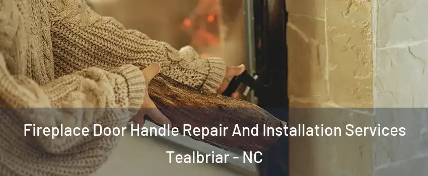 Fireplace Door Handle Repair And Installation Services Tealbriar - NC