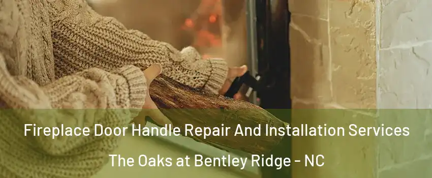Fireplace Door Handle Repair And Installation Services The Oaks at Bentley Ridge - NC