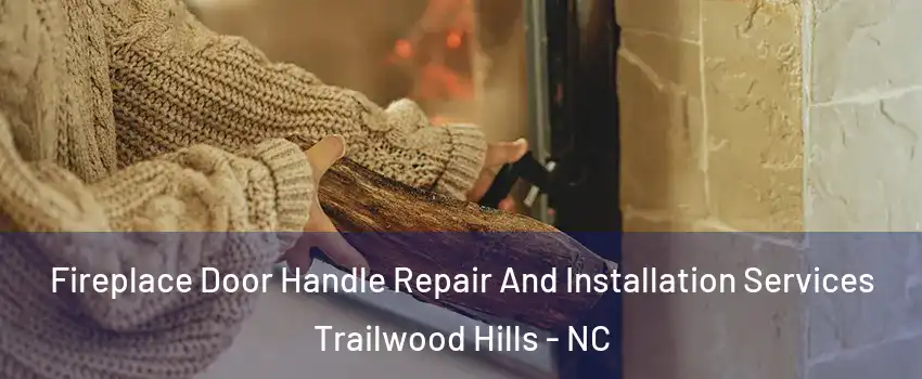 Fireplace Door Handle Repair And Installation Services Trailwood Hills - NC