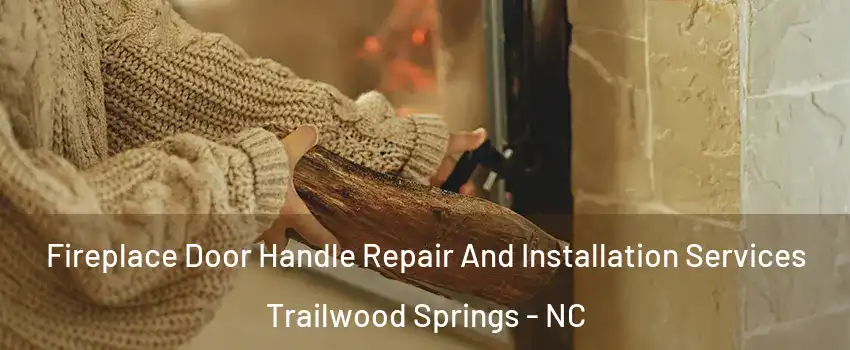 Fireplace Door Handle Repair And Installation Services Trailwood Springs - NC
