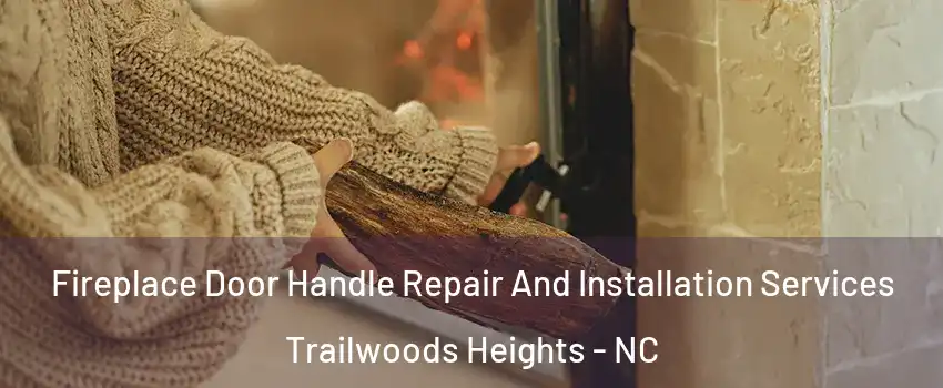 Fireplace Door Handle Repair And Installation Services Trailwoods Heights - NC