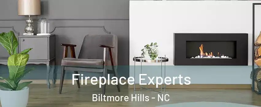 Fireplace Experts Biltmore Hills - NC