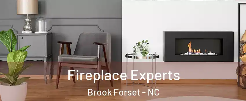 Fireplace Experts Brook Forset - NC