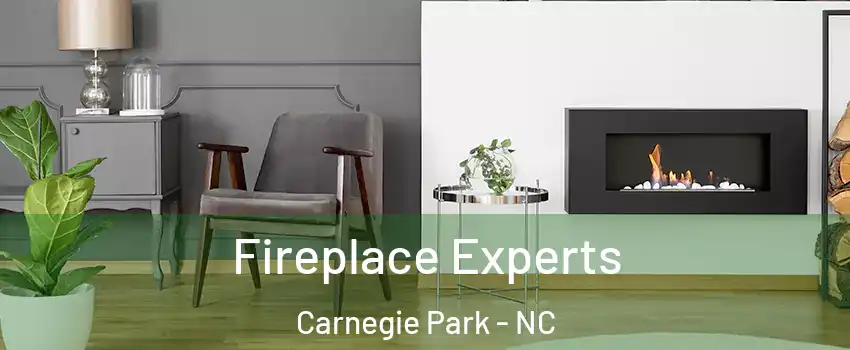 Fireplace Experts Carnegie Park - NC