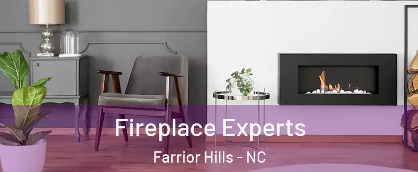 Fireplace Experts Farrior Hills - NC